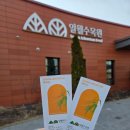일월예림음악학원 | 수원일월수목원,일월저수지 벚꽃 명소 방문후기|동탄방교초 피아노 원장님이 추천하는 아이와 함께가면...