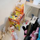 꽁냥꽁냥캣 이미지