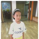 정은체육관태권도 Daum카페