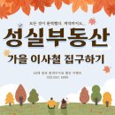 부동산청년들공인중개사사무소 이미지