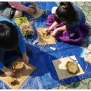 칠서초등학교 이미지