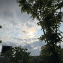 안성내츄럴리조트 오토캠핑장 | [안성 죽산면] 반려견과 함께 캠핑을 즐길 수 있는 안성내츄럴리조트 오토애견캠핑장
