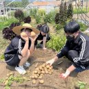 조종고등학교 이미지