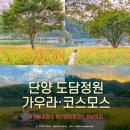 도담정원 | 충청북도 단양 10월 가볼만한곳 | 단양 도담정원 (주차·개화상황·포토존)
