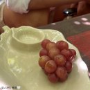 승승농장 | 나트랑 판랑 선라이즈 사막투어 일정 솔직후기 - 산티아고 투어