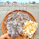 가자고속관광 | 속초 동명항 오징어난전 2026 현재 가격 및 운영시간 솔직 후기