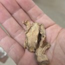 야곱의꿈농장 이미지