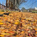 강릉뚜벅이 제19차 여행후기 이미지