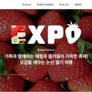 엑스포산업
