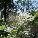 홍익농장 이미지