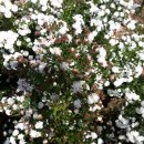 감물초등학교 병설유치원 이미지