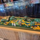 방주종합동물병원 이미지