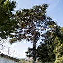 매원1리마을회관 이미지