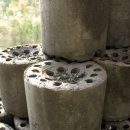 세한농장 이미지