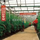 선봉농장 이미지