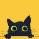 영신여자고등학교 이미지