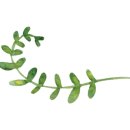 에이치원호텔 이미지