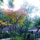 신동근린공원 이미지