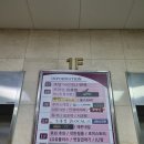 연무 | 분당 맛집 서현조용한술집 분위기 좋은 이색 안주맛집 연무 추천 후기