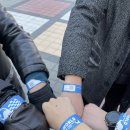 동백게임랜드 | 여수 여행 코스 추천 유월드 루지 테마파크 엑티비티 체험후기