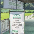 행수농장 | [남해 애견 동반 카페 추천] 섬농부의 마르쉐 : 건강한 블랙베리 체험 가능 여행 코스 추천