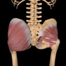 더핏플러스 이미지