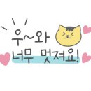 돼지가바람났네족발 네이버블로그