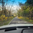 (주)천연사우나 | 겨울 한라산 크리스마스 힐링, 천연 암반수 웰니스 - 제주 위 WE 호텔 호캉스