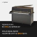 양재위드피아노학원