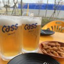 당수동 야장 생맥주 맛집 치킨마루 당수금곡점 솔직 후기