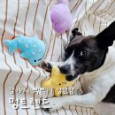 새침하개멍 | 강아지 삑삑이 장난감 멍트렌드 바다생물 인형으로 놀아주기