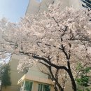 강동-길동-12 이미지