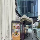 셀레브르 - 시흥시 오이도로 199 | [송도빙수맛집] 망고빙수 입소문 맛집 카페 ‘셀레브르’ 내돈내산 솔직후기
