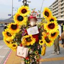 위드메디칼 이미지