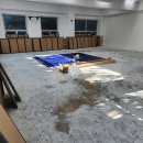 용인대 정관 유도관 이미지