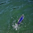 암반수낚시터 이미지