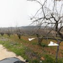 빛가람장성로 이미지