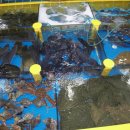 금강산횟집 이미지