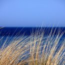 인하대부속고등학교 이미지