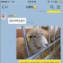 현우양꼬치 이미지