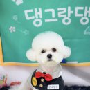 댕그랑댕 이미지