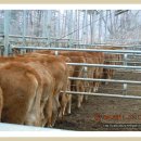 상만농장 이미지