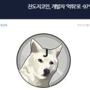 코인