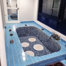 돌코롬하우스 | [제주제주시]제주도펜션추천, 조식까지 제공되는 제주애월펜션 돌코롬하우스