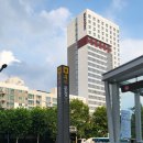 으뜸50안경 문정역점 | 송파 안경원 으뜸50안경문정역점에서 MZ 안경 맞추고 왔어요!