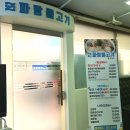 파랑물고기 광화문