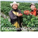 김이순농장 이미지