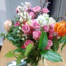 언주초등학교 이미지