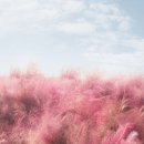 베트남웨딩스튜디오 이미지