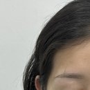 디자인알피그